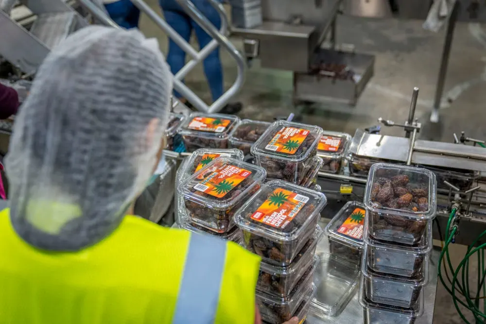 A worker checking packaged product on a production line