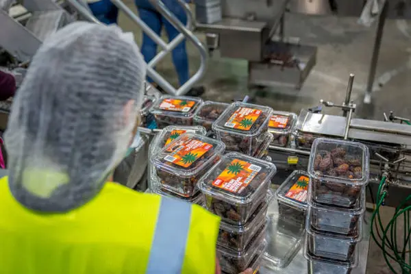 Operator managing packaging on a production line